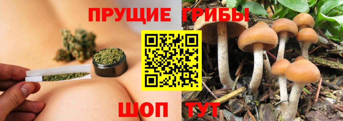 Галлюциногенные грибы прущие грибы  Псилоцибиновые грибы ЛСД  Торжок  Вход с VPN 