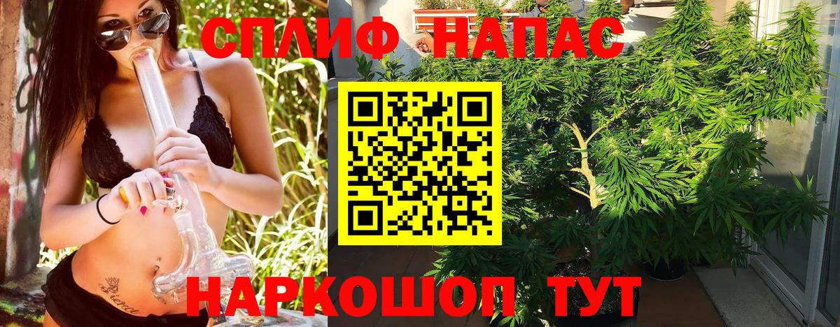 Марихуана MAZAR  Бошки Шишки план  Торжок  Конопля THC 21%  Вход с VPN  Конопля ГИДРОПОН 